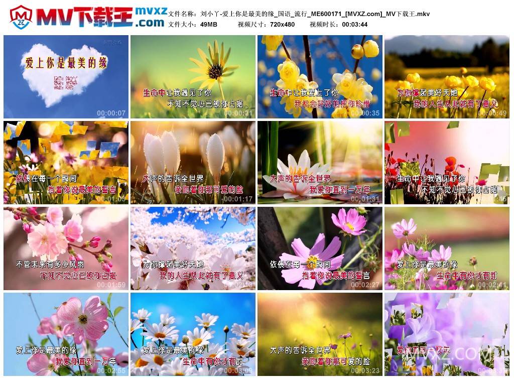 刘小丫-爱上你是最美的缘_国语_流行_ME600171